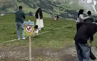 Les touristes ignorent les panneaux d'interdiction d'accès à Grindelwald, en Suisse