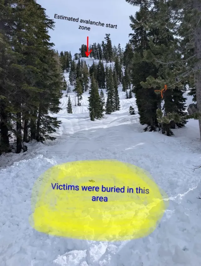 avalanche tahoe