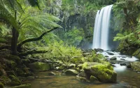 L’Australie se dirige vers le phénomène El Niño le plus humide de son histoire