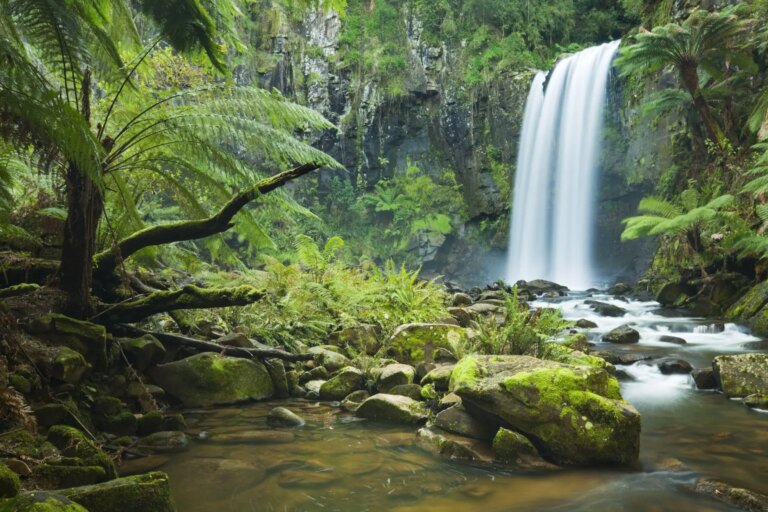 L’Australie se dirige vers le phénomène El Niño le plus humide de son histoire