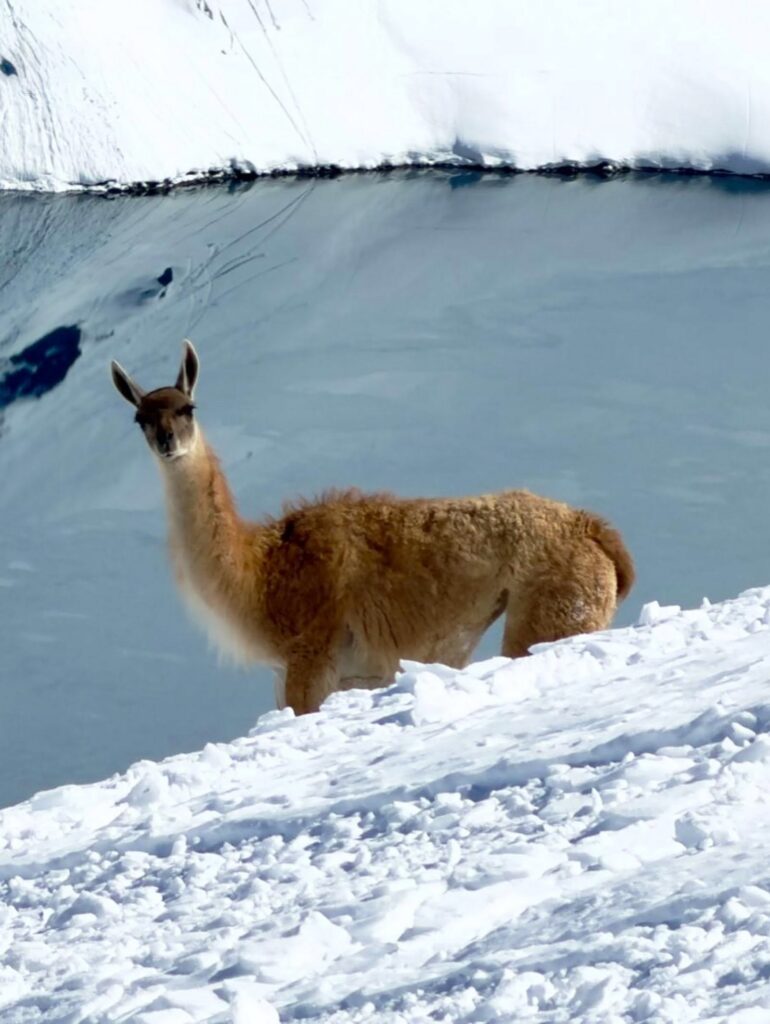 Les domaines skiables des Andes prolongent leurs saisons après d'énormes chutes de neige