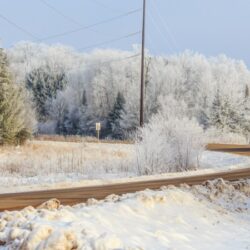 Le Service forestier publie un avis officiel d&rsquo;intention ouvrant une période de commentaires de 30 jours sur la réécriture des règles sans route – Où et comment soumettre un commentaire pour protéger les terres publiques