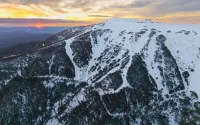 Son fils décède après la chute d'un arbre sur une voiture à Mount Buller, en Australie
