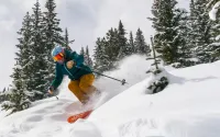 Le Freedom Pass : une alternative moins chère à Epic, Ikon