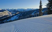 Blessures catastrophiques en ski : pourquoi moins de visites de skieurs ne rendent pas les pistes plus sûres