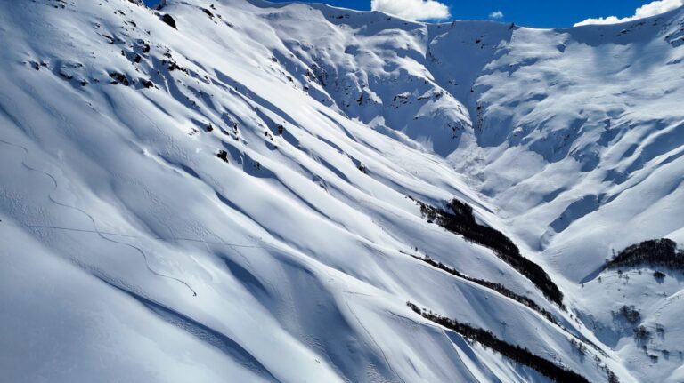 Rapport sur la Patagonie chilienne : ski d&rsquo;arbre, maïs et épines numériques inattendus