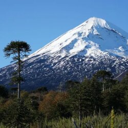 Un alpiniste allemand décède après une chute mortelle sur le volcan Llaima, dans le sud du Chili