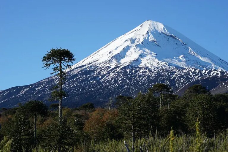 Un alpiniste allemand décède après une chute mortelle sur le volcan Llaima, dans le sud du Chili