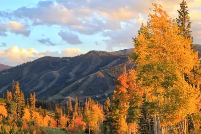 l'automne, les couleurs, les feuilles,