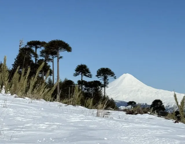 Volcan Llaima Corralco