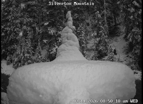 Piquet de neige de Silverton