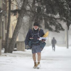 Un sondage révèle que près de 30 % des Canadiens portent encore des shorts par temps glacial