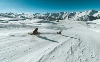 Les plus grandes stations de ski du monde : le top 13